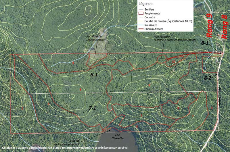 Forest planning