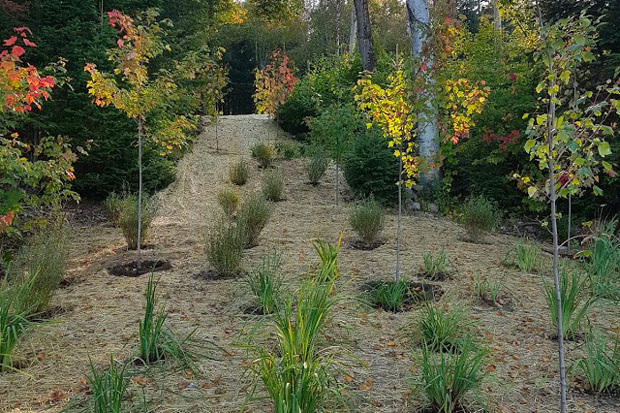 Plan Et Devis Ingenieur Forestier Environnement Genie Dominic Roy